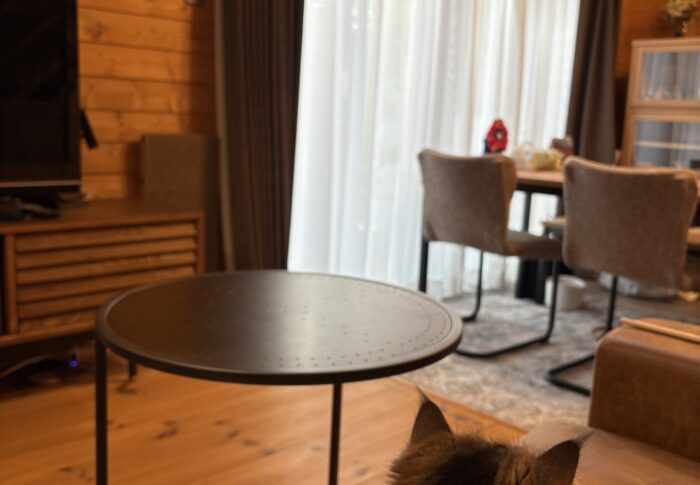 「片付け祭り」終了！